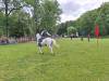 IMG-20240612-WA0117