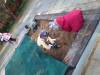 IMG-20231022-WA0011