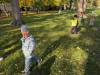 IMG-20261016-WA0006