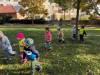 IMG-20261016-WA0009