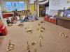 IMG-20250109-WA0017