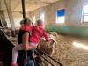 IMG-20250610-WA0014