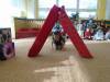 DSC04703-Copy