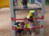 IMG-20230514-WA0011