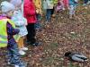 IMG_20231101_103902