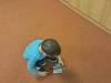 IMG-20251014-WA0022-Copy