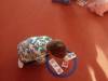 IMG-20241018-WA0004-Copy