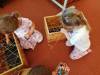IMG20250428073806-Copy