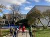 IMG_0462-Copy
