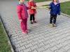 IMG_0463-Copy