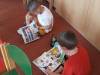 IMG_8673-Copy