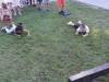 IMG_8774-Copy