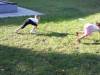 IMG_8782-Copy