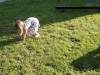 IMG_8786-Copy