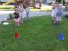 IMG_8795-Copy