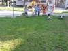 IMG_8805-Copy