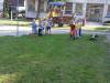IMG_8806-Copy