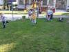 IMG_8807-Copy