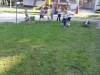IMG_8808-Copy