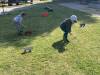 IMG_4572-Copy