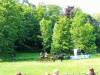 IMG20250610095550-Copy