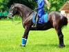 IMG20250610100915-Copy