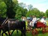 IMG20250610101231-Copy