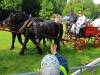 IMG20250610101340-Copy