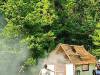 IMG20250610101727-Copy