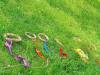 IMG20250610103010-Copy