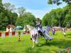 IMG20250610103215-Copy
