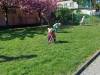 IMG-20260423-WA0002-Copy