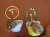 IMG20250528093257-Copy