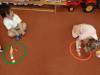 IMG20250528094220-Copy