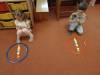 IMG20250528094235-Copy