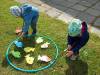 IMG20250529093941-Copy