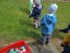 IMG20250529103547-Copy