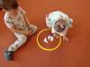 IMG20250530090126-Copy