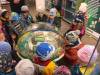 IMG_2526-Copy