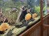 IMG_6200-Copy