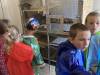 IMG_6207-Copy
