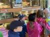 IMG_6210-Copy