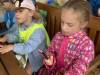 IMG_6226-Copy