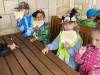 IMG_6239-Copy