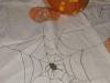 IMG-20231031-WA0006-Copy