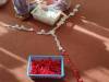 IMG_20250919_093217-Copy