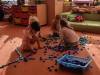 IMG_20250919_093709-Copy