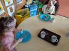 IMG20250224091537-Copy