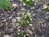 IMG20250228104754-Copy