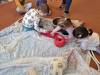 IMG-20250211-WA0080-Copy